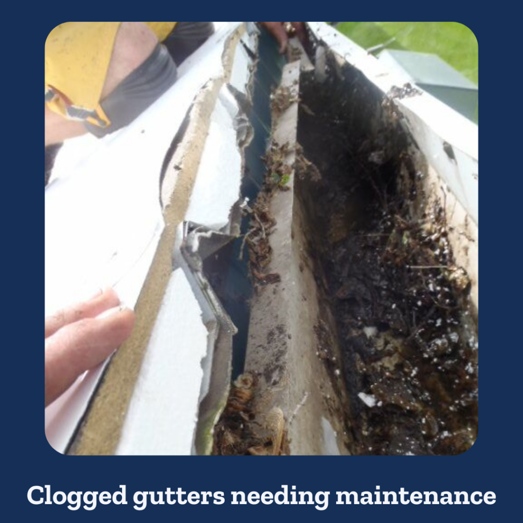 Clogged gutters needing maintenance